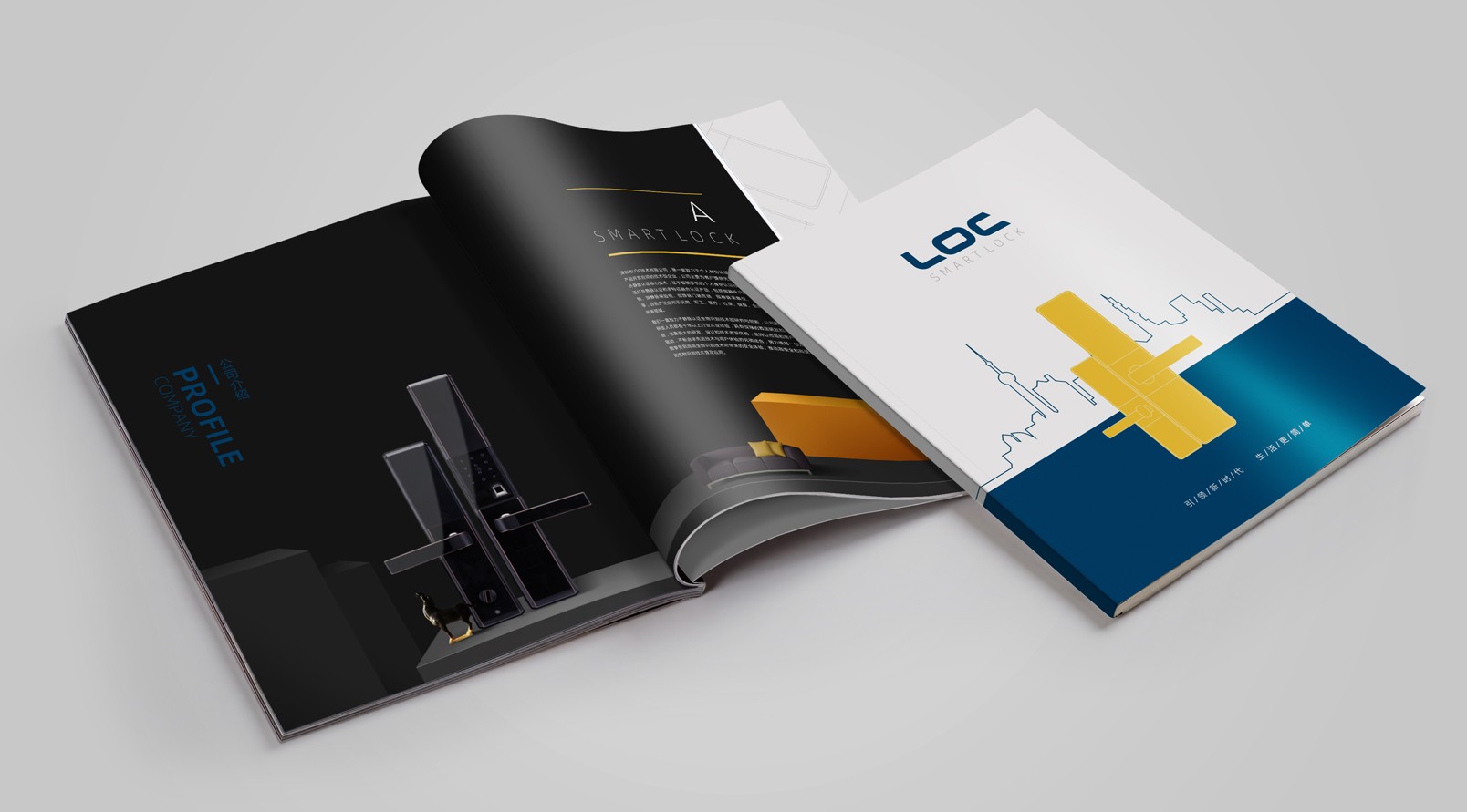 鎖業公司產品畫冊設計