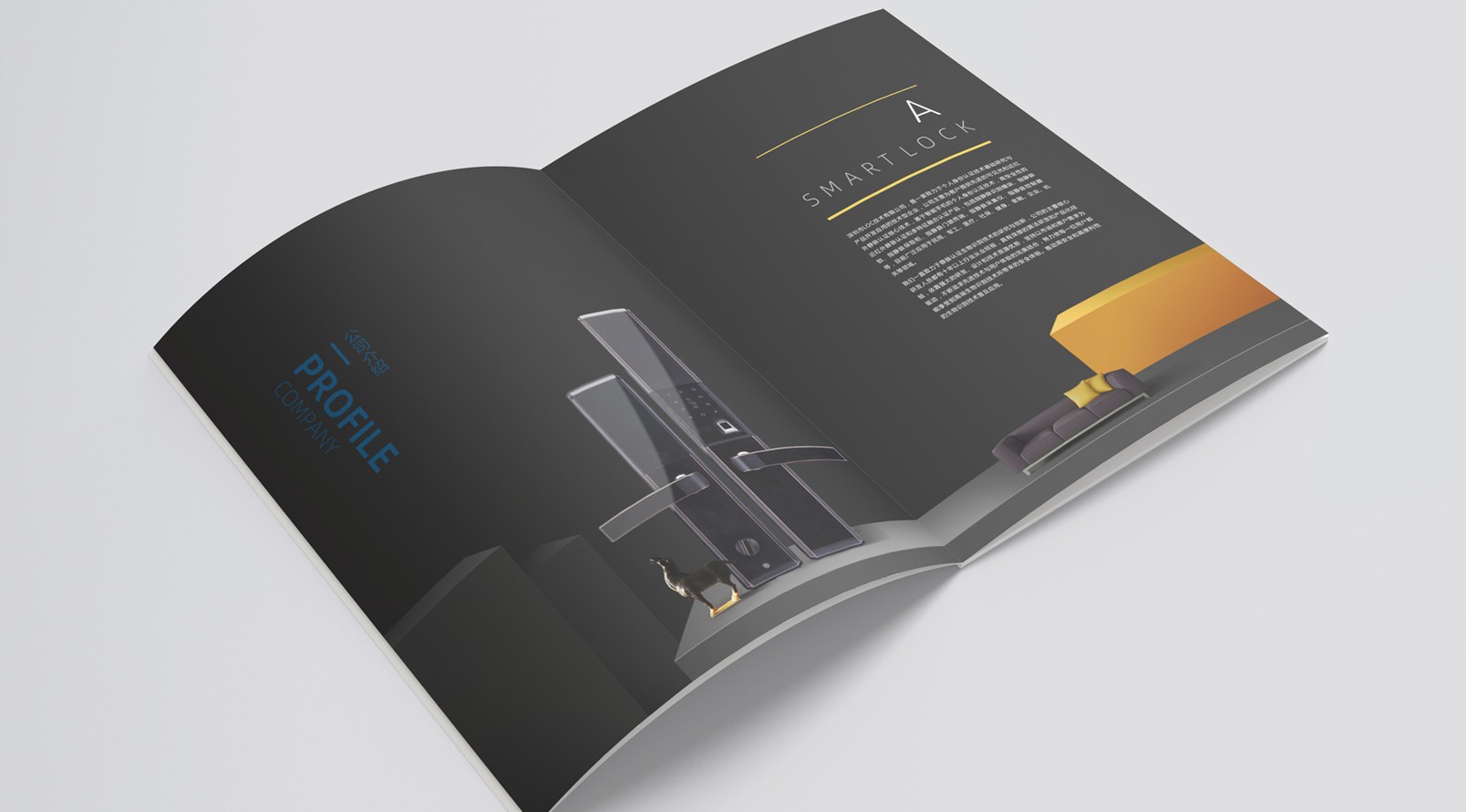 鎖業公司產品畫冊設計