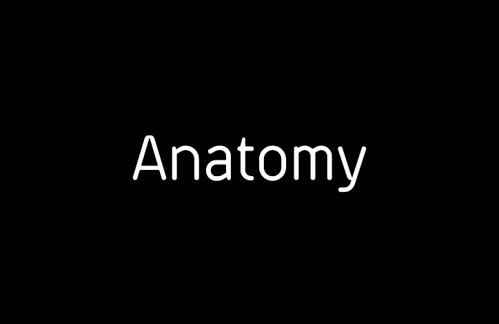 【Anatomy】精品健身房視覺品牌VI設計