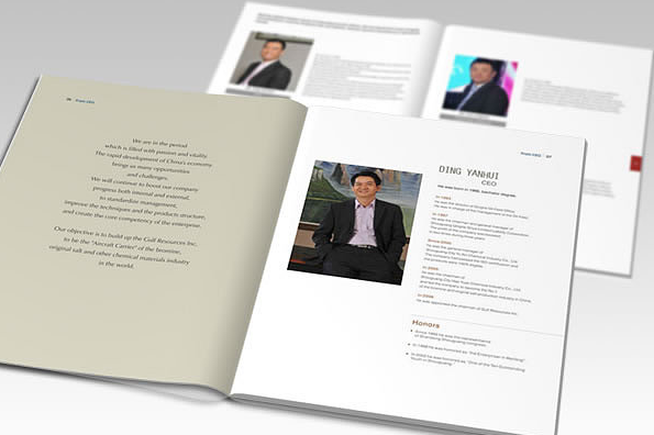 光電畫冊設計【艾比森】高端大氣畫冊設計欣賞