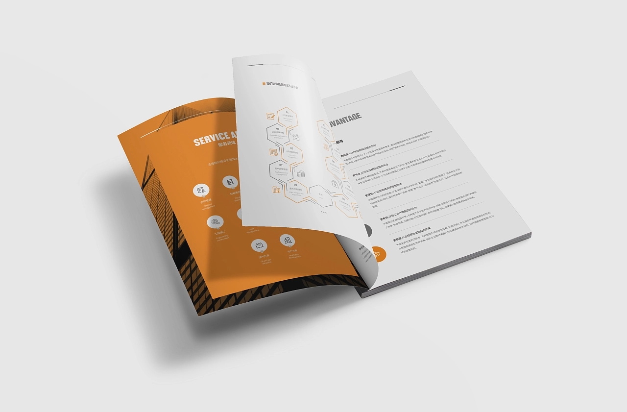 1690036103269306.jpg 20220811_170734_080.jpg